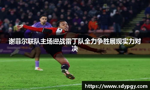 谢菲尔联队主场迎战雷丁队全力争胜展现实力对决